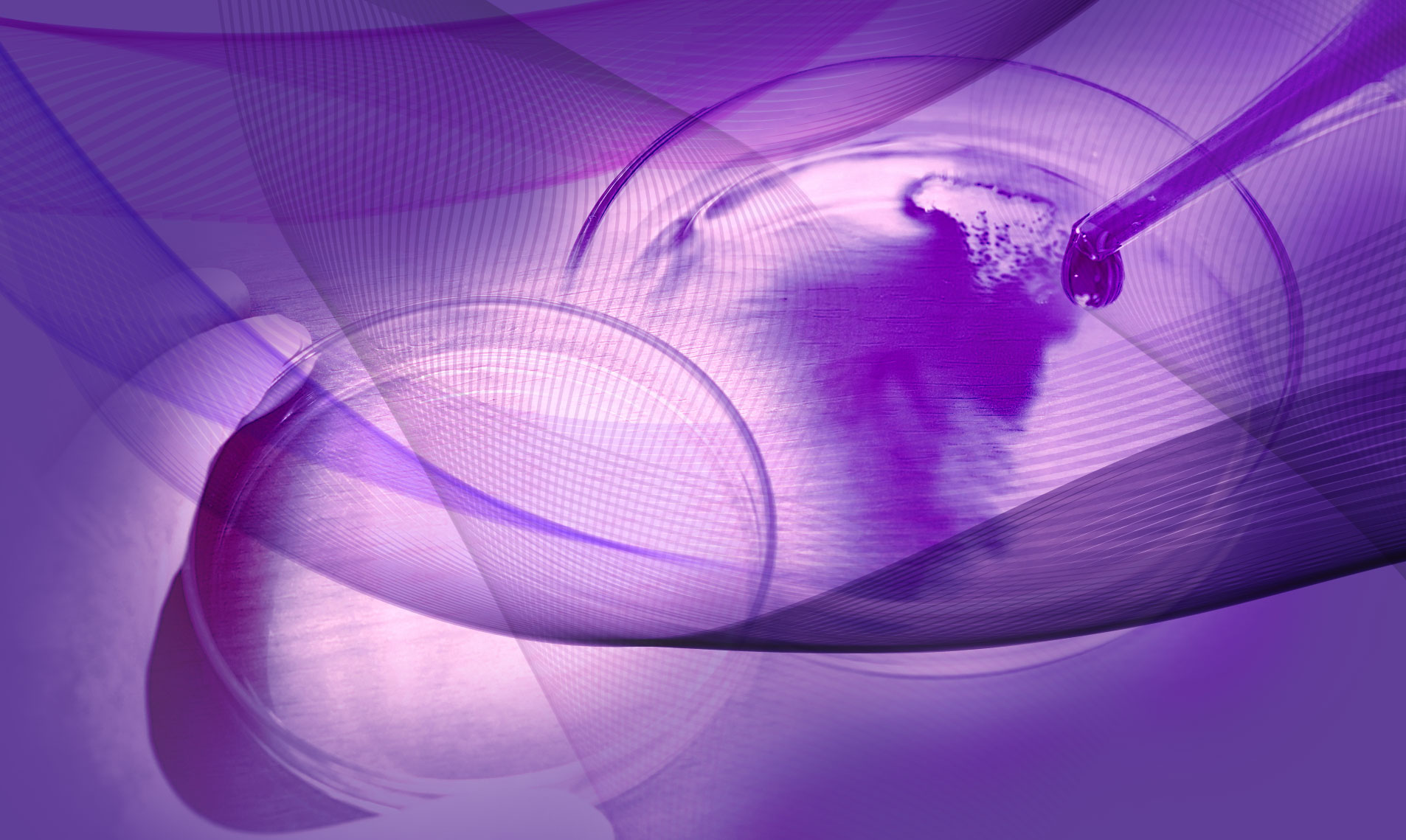 slide-bg-vector-purple